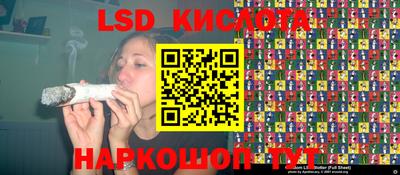 шишки Севастополь