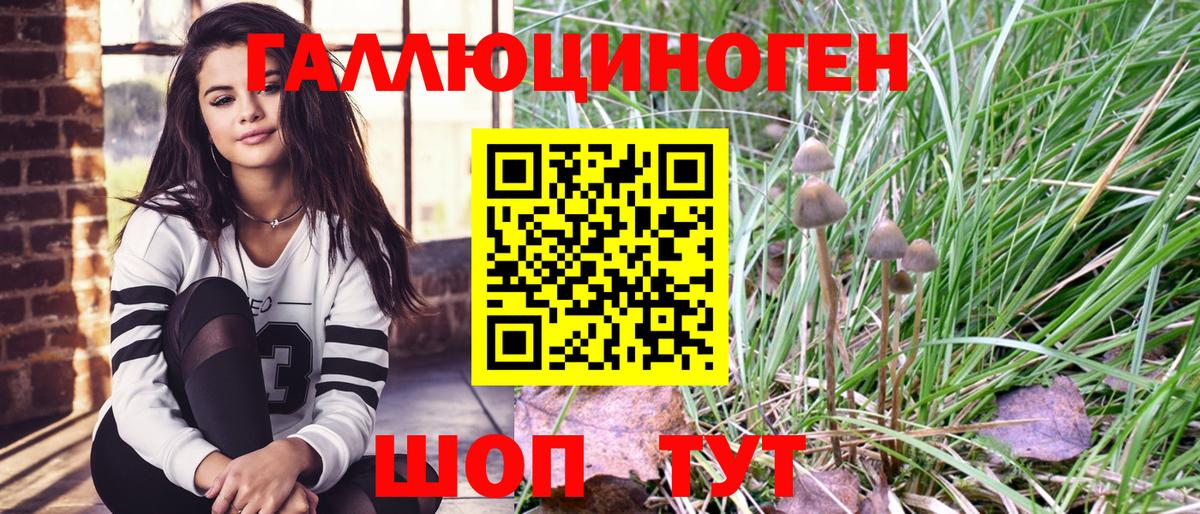 Псилоцибиновые грибы Cubensis Ростов-на-Дону