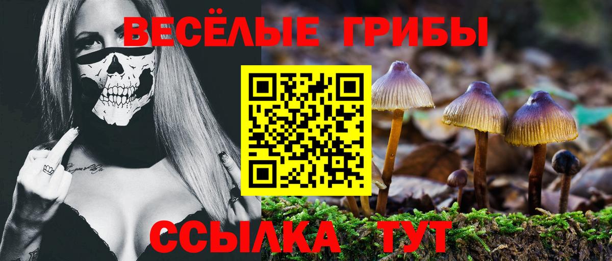 Псилоцибиновые грибы Magic Shrooms  Псилоцибиновые грибы Magic Shrooms  Вход с VPN  Ростов-на-Дону 